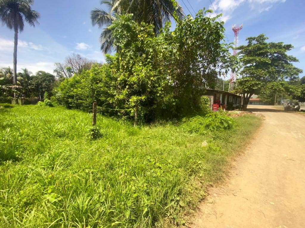 Lote para la Venta en Marbella 1908221226, Lote para la Venta en Marbella